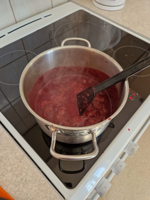 20230415 114515 scaled