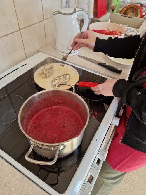 20230415 115316 scaled