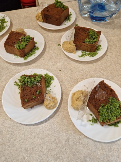 20230615 164226 resized scaled