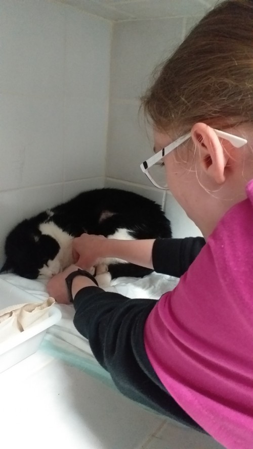 WhatsApp Image 2023 04 21 at 12.51.50