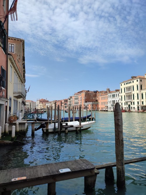 WhatsApp Image 2023 04 25 at 11.46.38