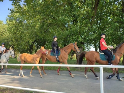 IMG 20231014 120328 Easy Resize.com