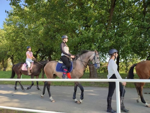 IMG 20231014 120335 Easy Resize.com