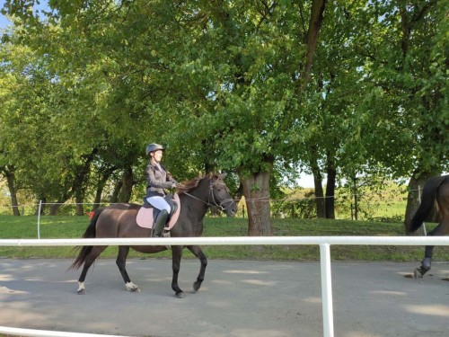 IMG 20231014 120340 Easy Resize.com