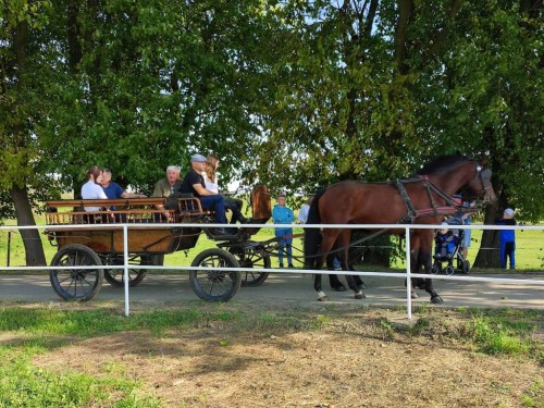 IMG 20231014 121829 Easy Resize.com