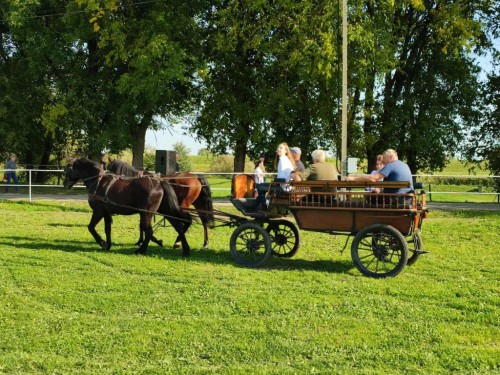 IMG 20231014 121854 Easy Resize.com