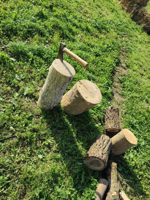 IMG 20231014 121943 Easy Resize.com