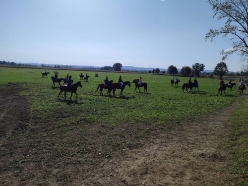 IMG 20231014 123142 Easy Resize.com (1)