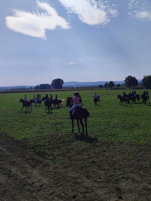 IMG 20231014 125913 Easy Resize.com