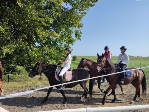 IMG 20231014 130159 Easy Resize.com