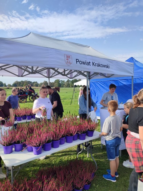 IMG 20231014 131437 Easy Resize.com