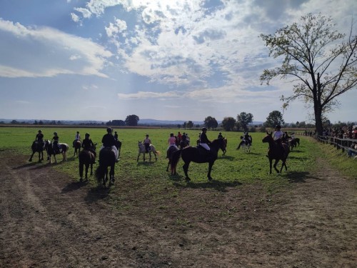 IMG 20231014 133349 Easy Resize.com