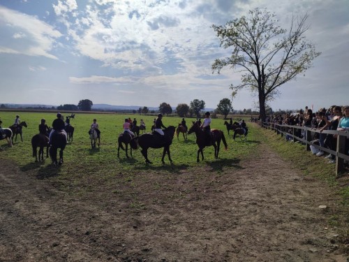 IMG 20231014 133350 Easy Resize.com