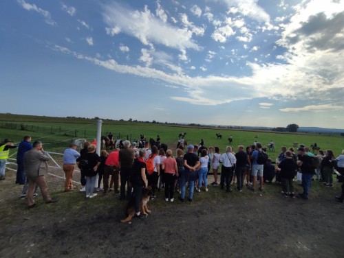 IMG 20231014 133739 Easy Resize.com