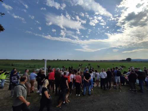 IMG 20231014 133743 Easy Resize.com