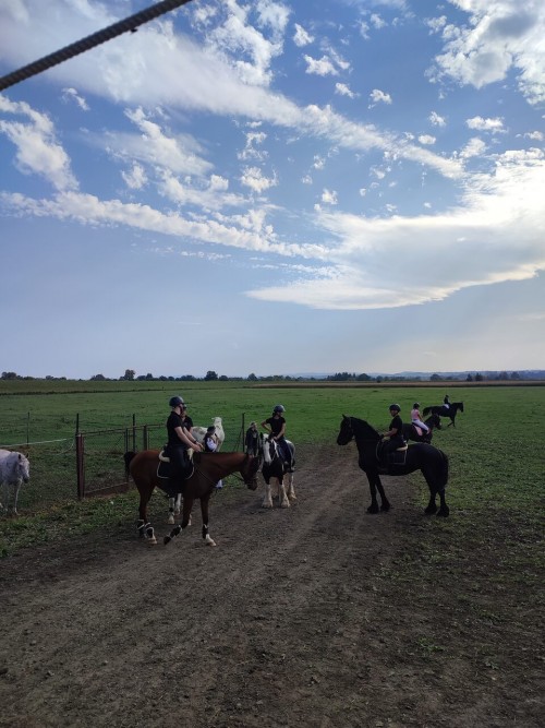 IMG 20231014 133930 Easy Resize.com