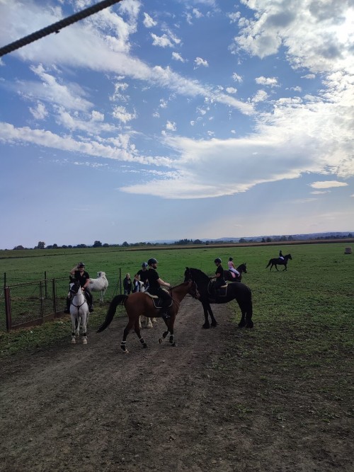 IMG 20231014 133933 Easy Resize.com