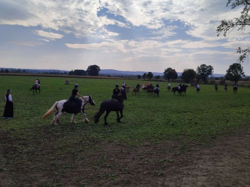 IMG 20231014 134126 Easy Resize.com