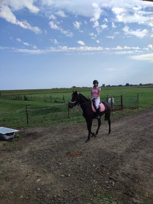 IMG 20231014 134340 Easy Resize.com