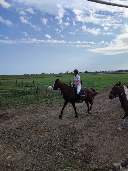 IMG 20231014 134343 Easy Resize.com