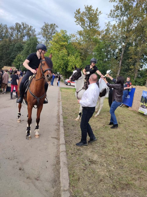 IMG 20231014 134527 Easy Resize.com