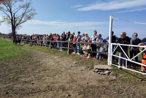 IMG 20231014 160431 Easy Resize.com