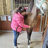 4f41a5a5-cda9-44c2-b348-e18d06ff9eb2