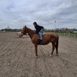 21a1c560-0616-415a-a0ef-5860443db5e7