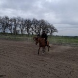 6676e7b9-7055-45e1-aa82-425abe46d2d1