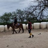 VideoCapture_20250423-104850