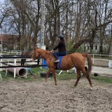 fa9bff07-91d4-4b27-97a1-01a14d1a371a