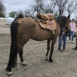 received_1018820696980092