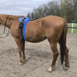 received_1179999613346267