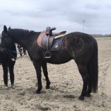 received_1208586463451604