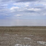 58381bf7-d933-4c04-beb6-31d518aadee9