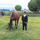 26c3599b-629d-4a61-bcd8-6f71cada9948