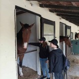 32aba9d4-210e-4d2c-a397-49cdbde71150