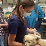 42d30ac9-8093-401b-97b5-7dc86843623f