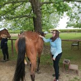 4cdd5f21-8d96-4f36-9efa-ba332f9cf586