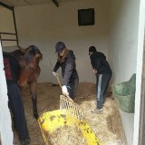 5109df91-81be-45ab-8a2a-bfcb3057f6d0-1