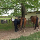 514ddb25-d740-49f6-af5e-f04f17b096d8