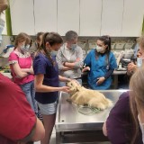 5c0407cf-6aae-4b60-9078-eefe1c1ac2aa