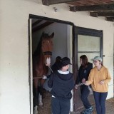 634f9371-b458-4e4d-b678-d84691865030