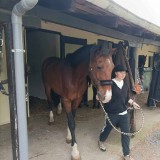 7045884b-a26e-4a03-8cad-15a0a8ab9592