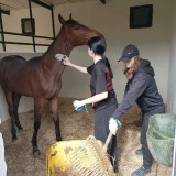 99fb7711-2f39-4ff1-8902-aeb9b7d12a78