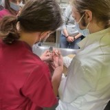 b4cc06ee-46fa-4d6c-8fd2-67e1de384ebf