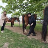 c89ac628-a2ec-4fcc-a275-07163eac8e15