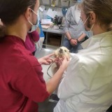 cd3b6fc6-5097-457f-9f98-6681bff770f1