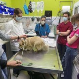 cd400a0f-7f7c-493b-9126-13cab50fc0ca