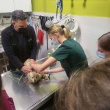 cea138cf-1c67-4509-8358-7c1bb92217c3